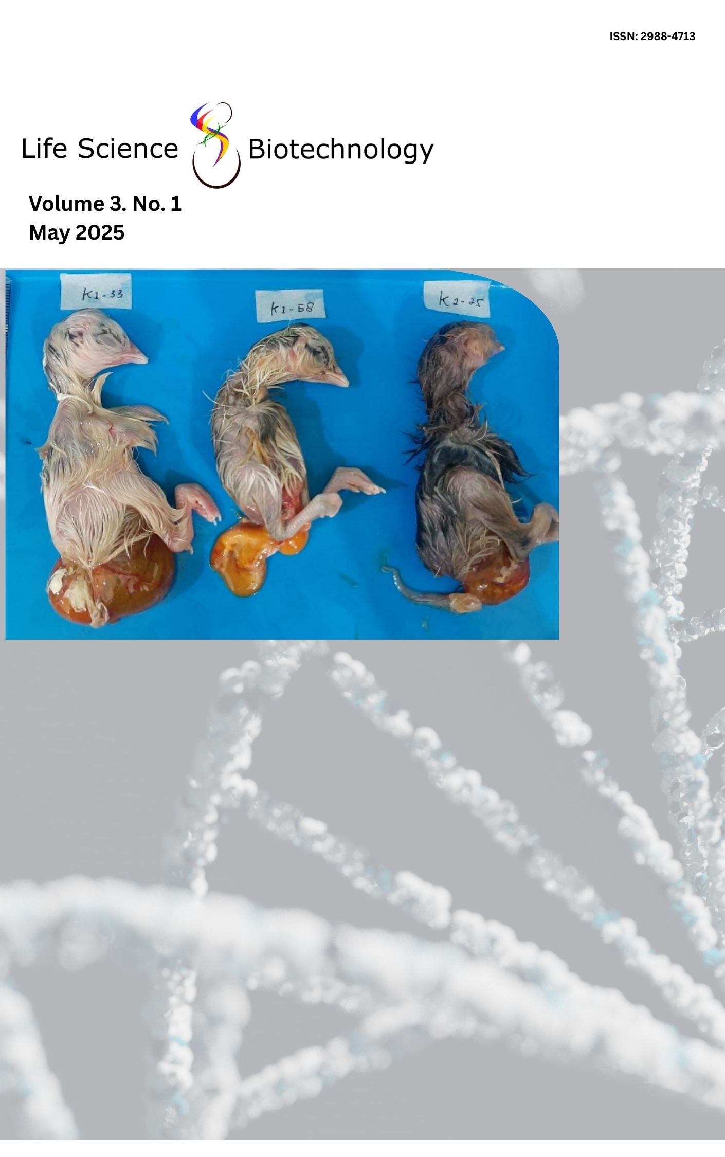 					View Vol. 3 No. 1 (2025): Vol. 3 No. 1 (2025): May 2025
				